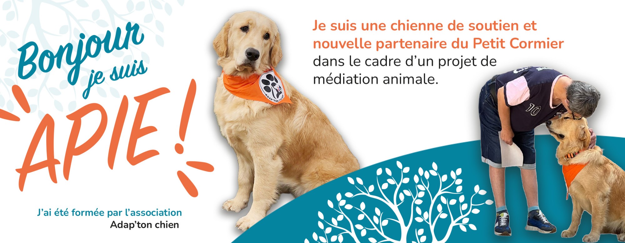 Apie, chienne de médiation animale — AEFH Le Petit Cormier